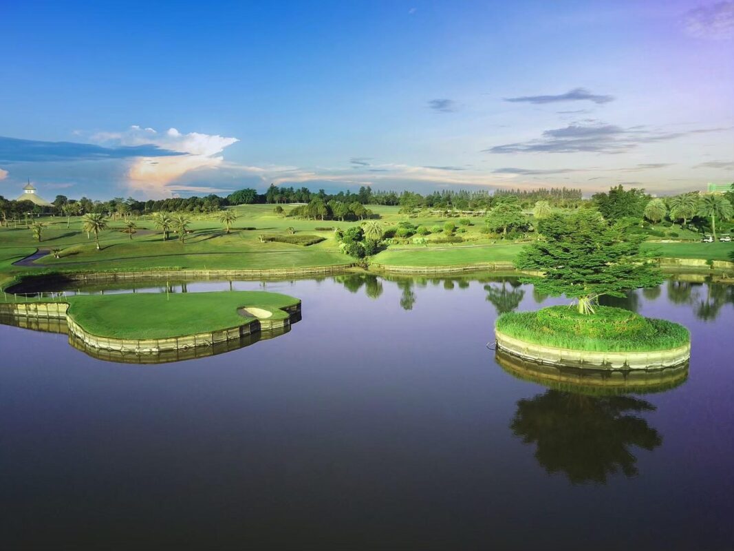 THE RG CITY